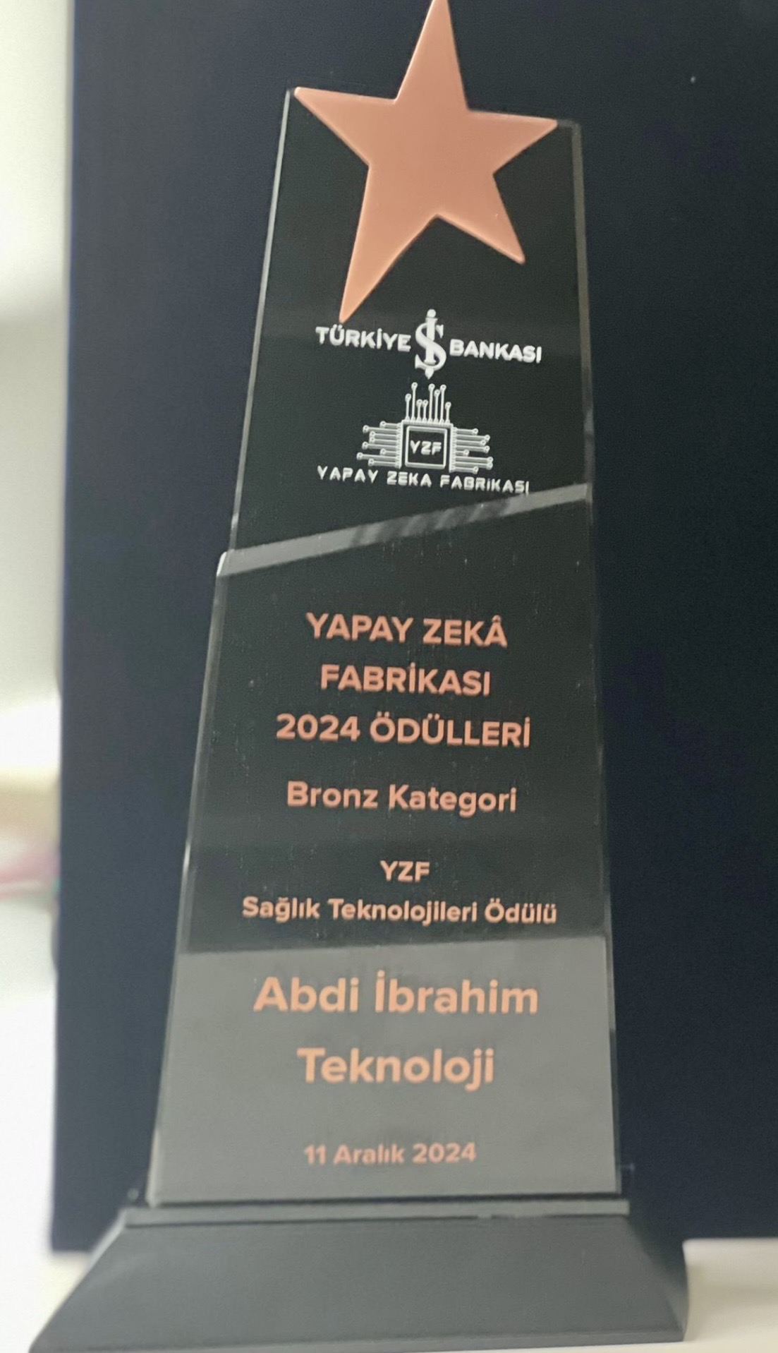Bronze Category Health Technologies award at Yapay Zeka Fabrikasi by Turkiye Is Bankasi